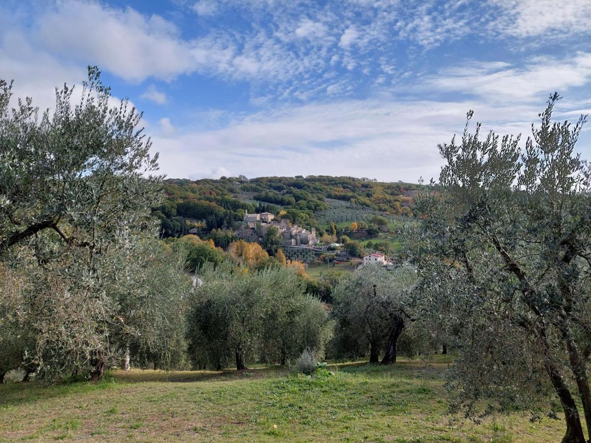 Agriturismo La Rocca Assisi Petrignano Extérieur photo