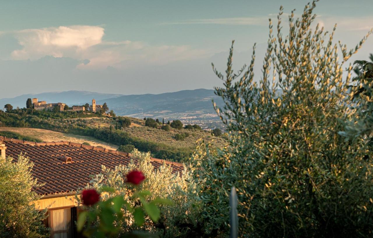 Agriturismo La Rocca Assisi Petrignano Extérieur photo
