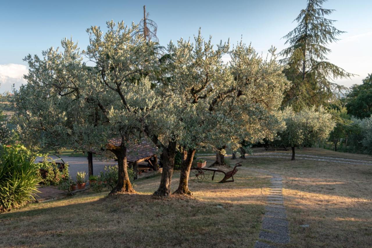 Agriturismo La Rocca Assisi Petrignano Extérieur photo